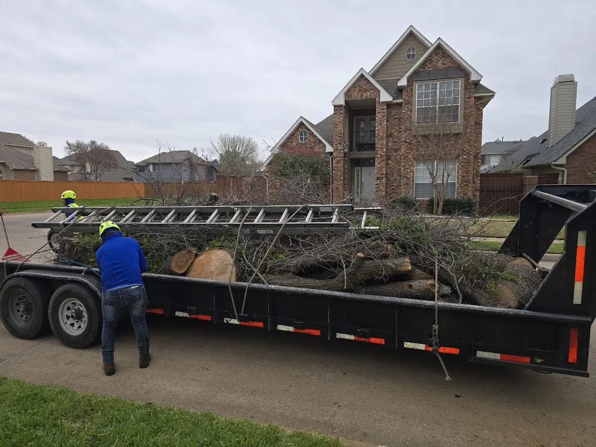 Expert Tree Fertilization with proper safety equipment in Malone